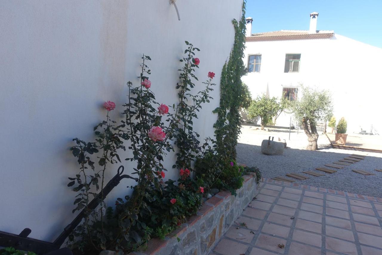 Galwey, Tourist Appartments With Wifi Málaga Buitenkant foto